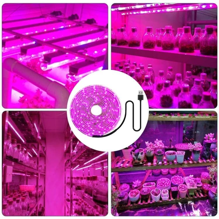 Full Spectrum USB LED Grow Light for Small Plants Greenhouse, 5M, Compatible with USB - Image 6