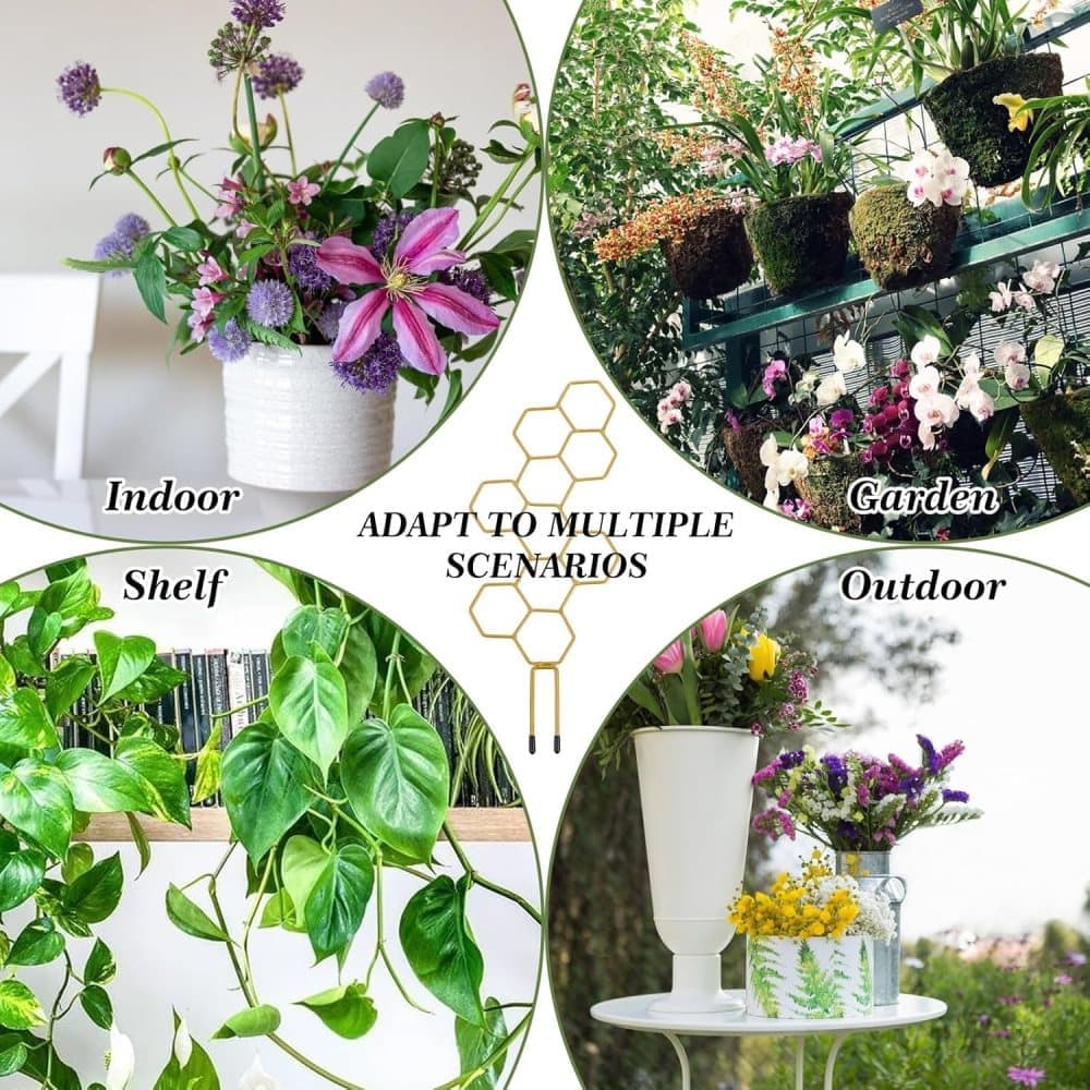 Climbing Plant Trellis 14 inch Metal Support for Vines Potted Plants and Flowers, Modern Design - Image 6