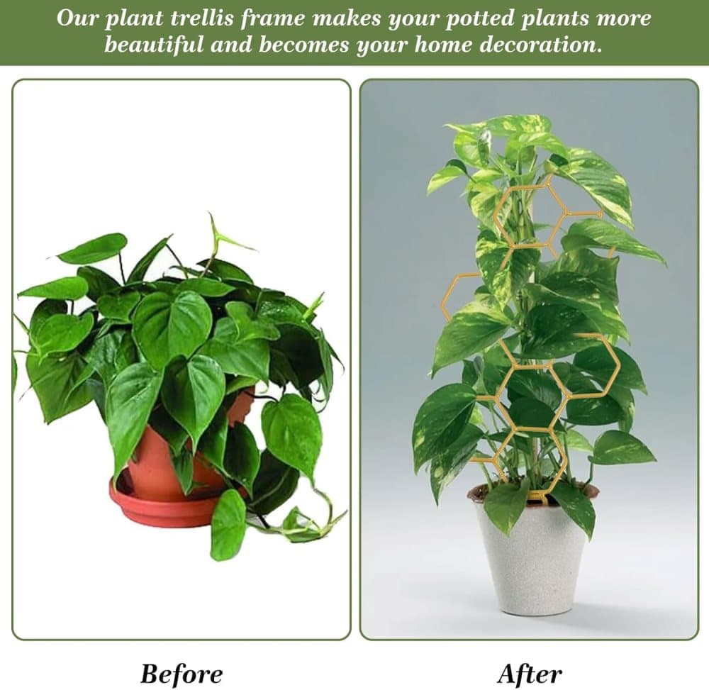 Climbing Plant Trellis 14 inch Metal Support for Vines Potted Plants and Flowers, Modern Design - Image 7