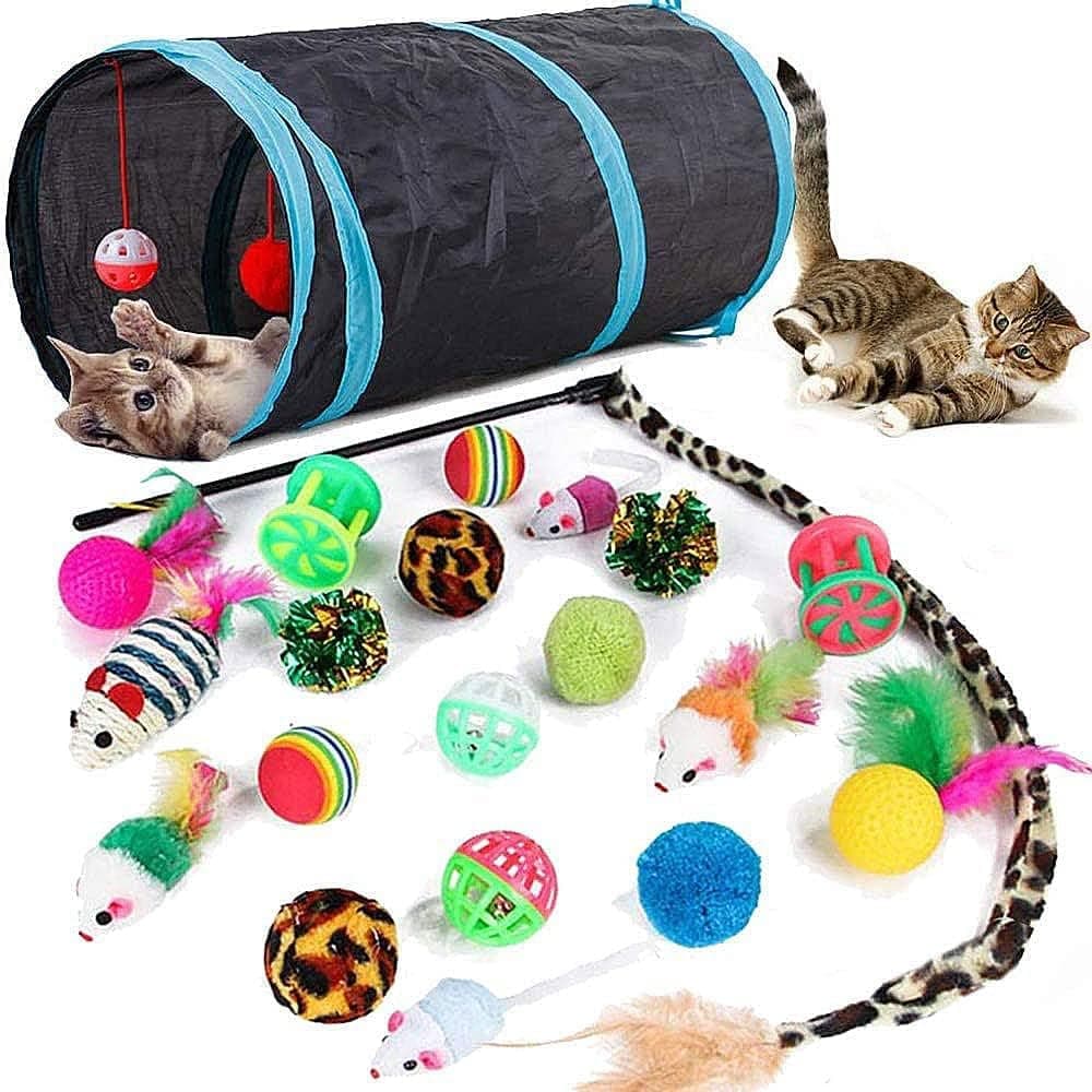 21 Piece Cat Toys for Kittens and Cats - Image 1