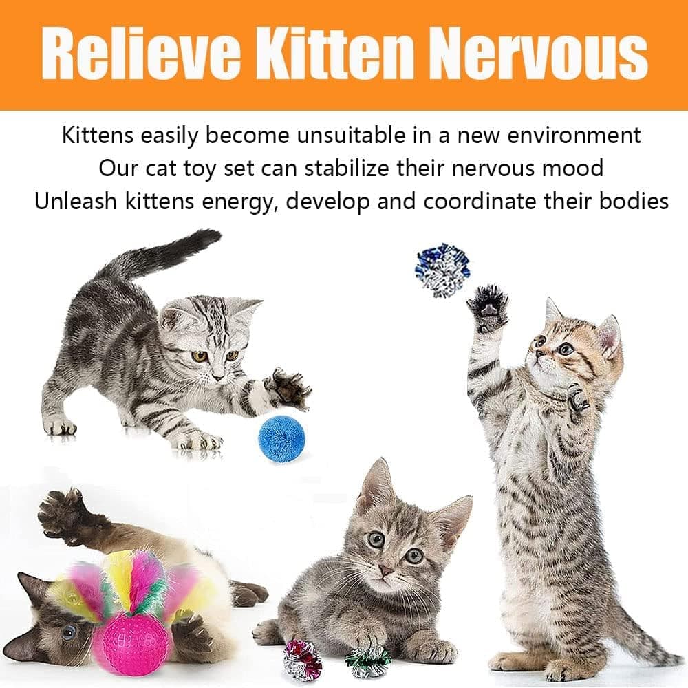 21 Piece Cat Toys for Kittens and Cats - Image 3