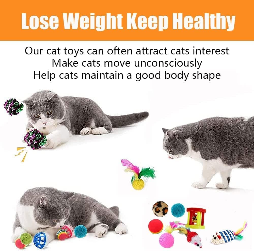 21 Piece Cat Toys for Kittens and Cats - Image 6