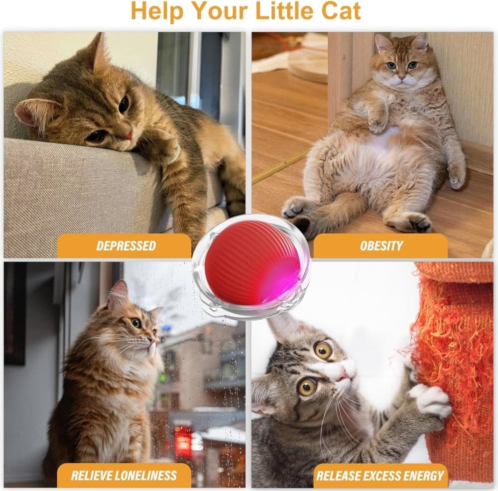 Interactive Cat Toy with Hideaway Cover and Self-Rolling Ball, USB Charging, Colorful, 1 Piece - Image 7
