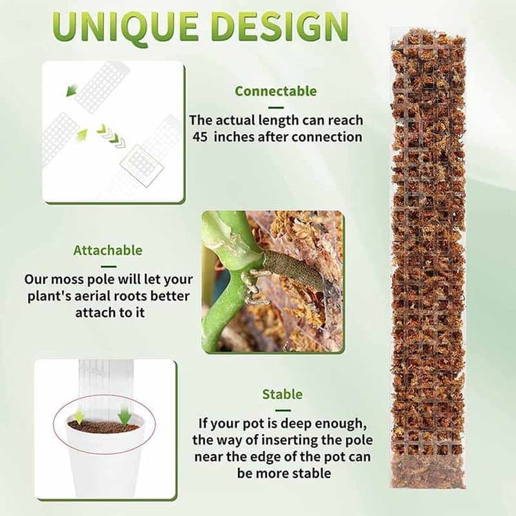 2 pcs Climbing Plant Moss Stakes with Garden Tie, 10 Pack, Plastic - Image 7