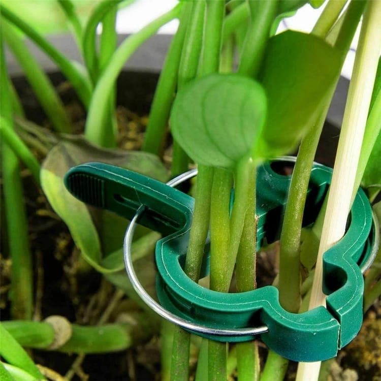 50-pack Plant Clamps for Trellis Support, 1.5 inch, 4.5cm x 6cm, Compatible with Plant Support Systems - Image 7