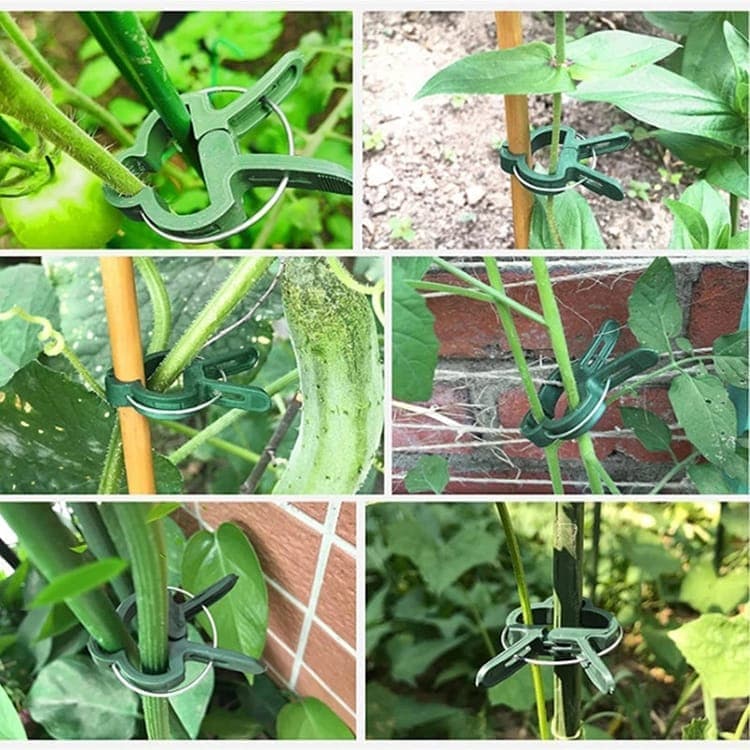 50-pack Plant Clamps for Trellis Support, 1.5 inch, 4.5cm x 6cm, Compatible with Plant Support Systems - Image 8
