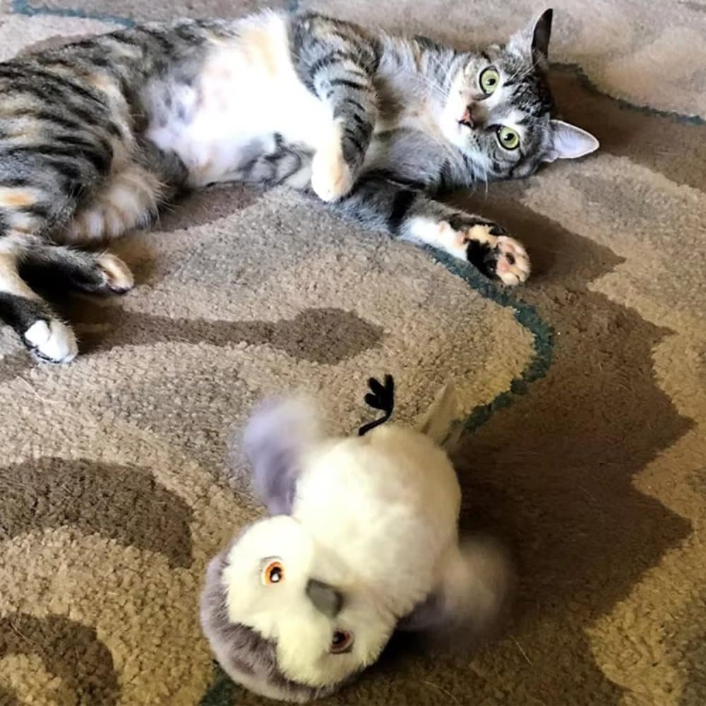Interactive Cat Toy with Bird Movement, Catnip, and Beep Sound, Electric Smart Pet Toy, Compatible with Cats - Image 5