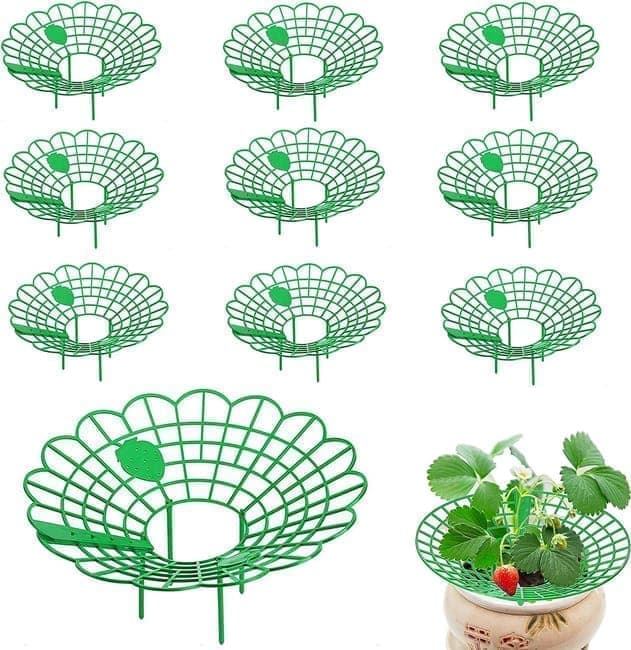 10-Pack Strawberry Holder Plant Support for Strawberries and Vegetables, 10.2 Inches - Image 1