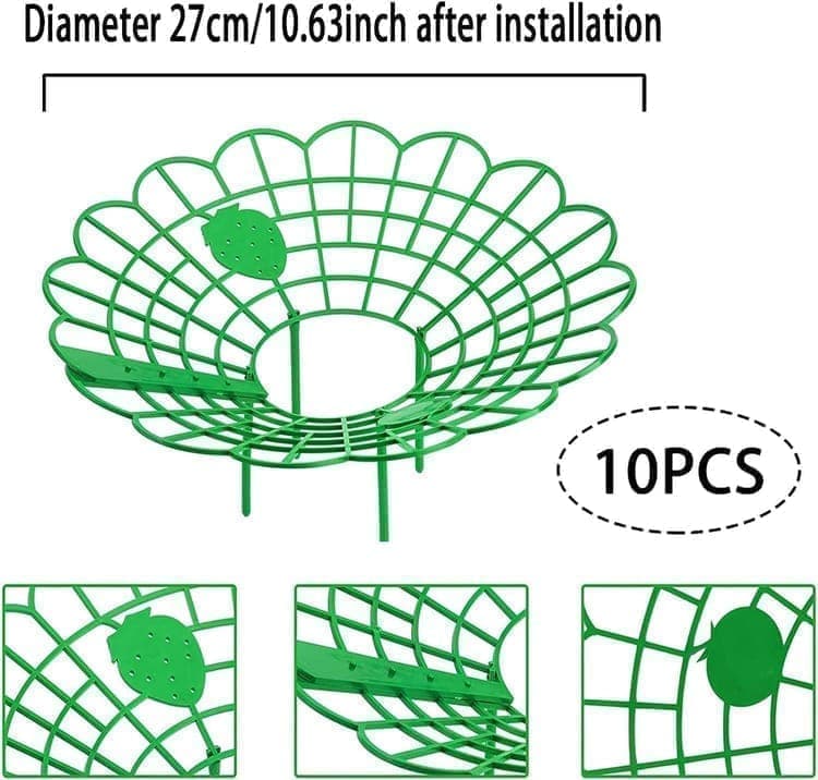 10-Pack Strawberry Holder Plant Support for Strawberries and Vegetables, 10.2 Inches - Image 4