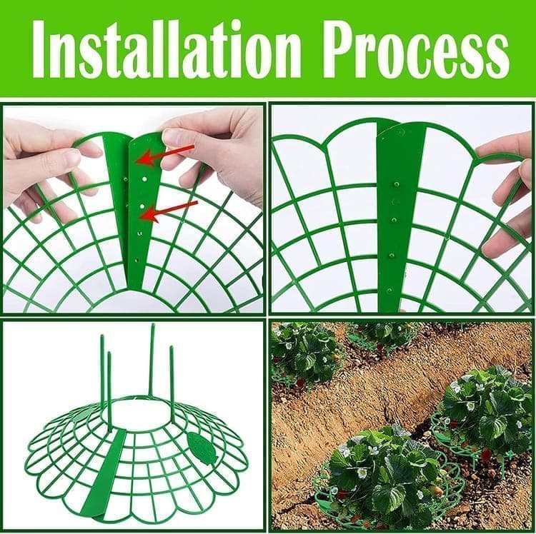 10-Pack Strawberry Holder Plant Support for Strawberries and Vegetables, 10.2 Inches - Image 5