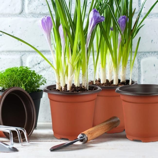 100pcs Reusable Plastic Planting Pots for Indoor and Outdoor Flower Growing, 90mm - Image 2