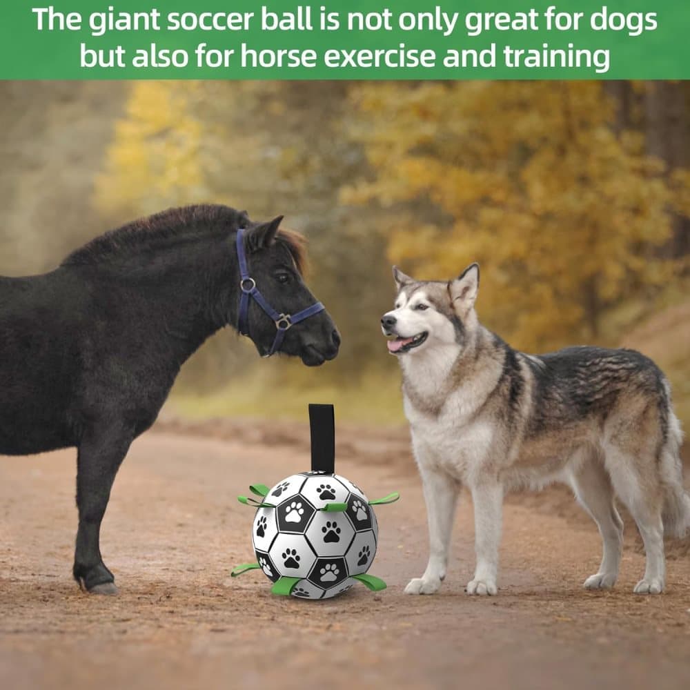 Durable Interactive Dog Ball with Air Needle, 15cm - Image 5