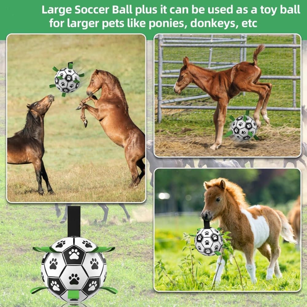 Durable Interactive Dog Ball with Air Needle, 15cm - Image 6