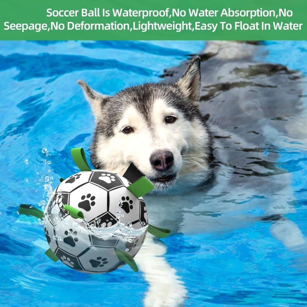 Durable Interactive Dog Ball with Air Needle, 15cm - Image 7