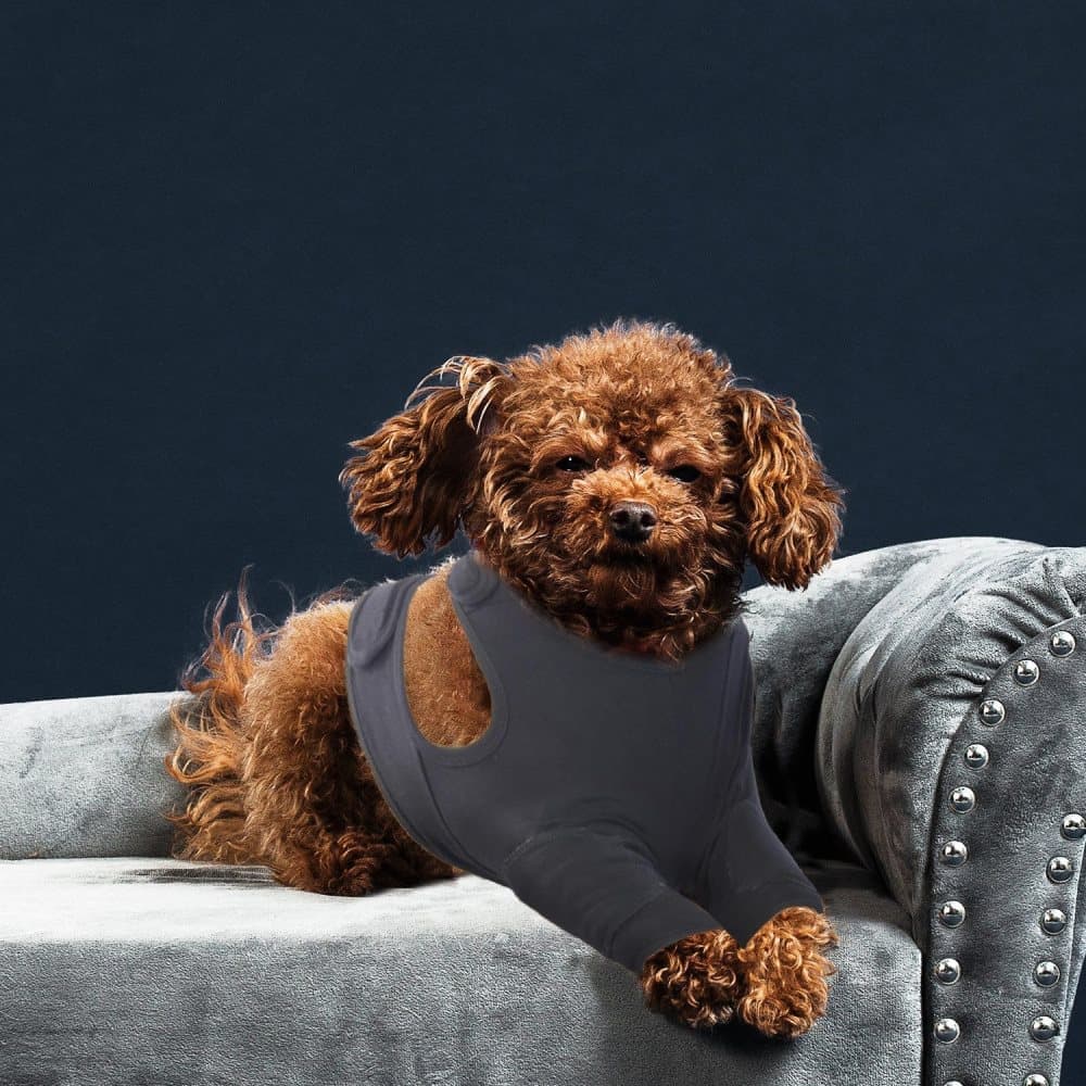 Breathable Elastic Dog Elbow Protection for Post-Surgery Foreleg, Prevents Licking and Biting, Light Gray, L - Image 8