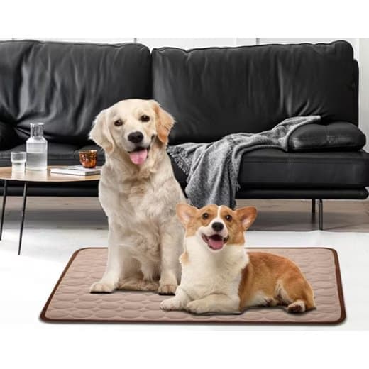 Cooling Mat for Dogs and Cats, Breathable, Multiple Colors, Compatible with All Breeds, 62×50cm - Image 3