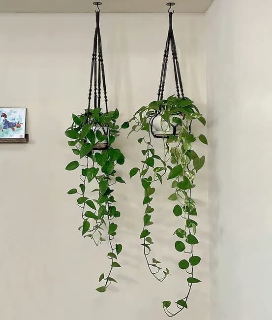 3 pcs Bohemian Plant Hanger for Indoor Plants with Braided Rope Beads and Lace Decoration, 35 Inch, Black - Image 4