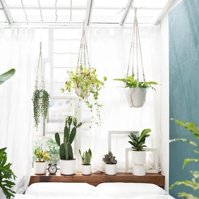 3 pcs Bohemian Plant Hanger for Indoor Plants with Braided Rope Beads and Lace Decoration, 35 Inch, White - Image 5