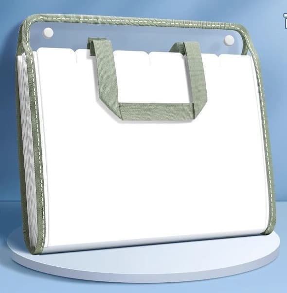 13 Compartments A4 Document Folder, Transparent Waterproof with Snaps, for School and Home, compatible with A4, Green - Image 1