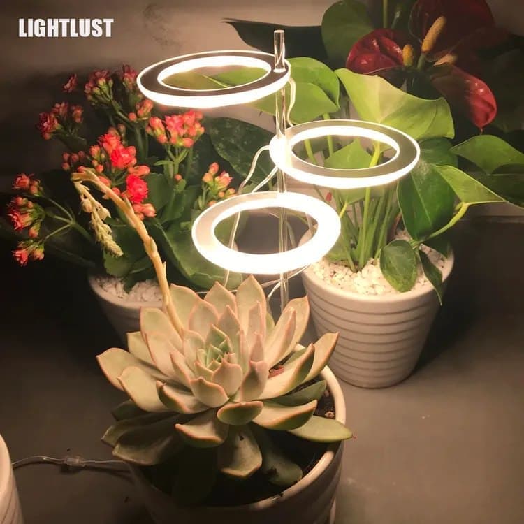 2 pcs LED Grow Light 4000K Full Spectrum with Timer, Adjustable USB Plant Lighting for Small Plants, Beige - Image 2