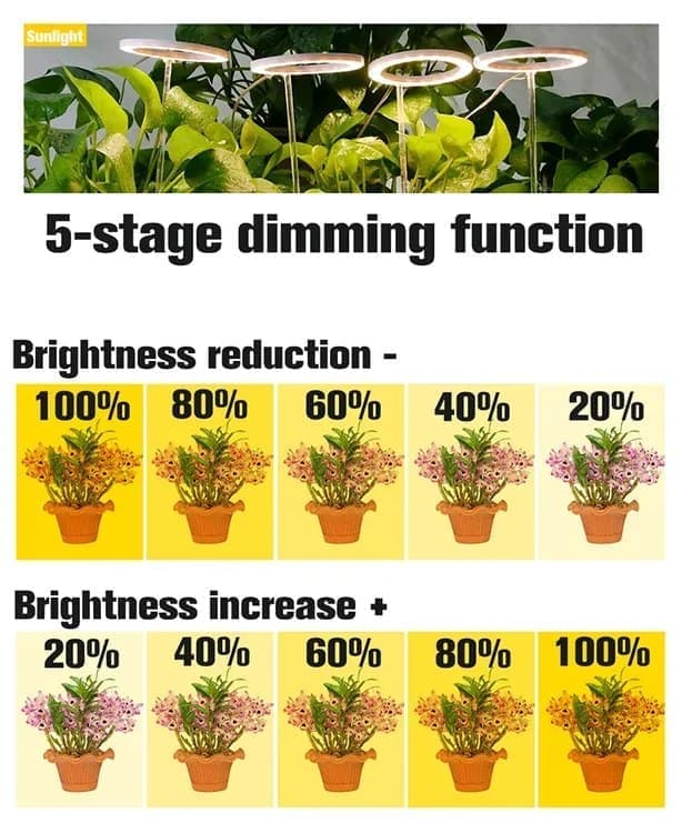 2 pcs LED Grow Light 4000K Full Spectrum with Timer, Adjustable USB Plant Lighting for Small Plants, Beige - Image 6