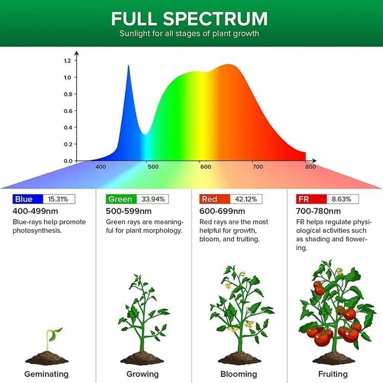 2 pcs USB LED Grow Light 4000K Full Spectrum Plant Lighting with Timer Adjustable, Pink - Image 8