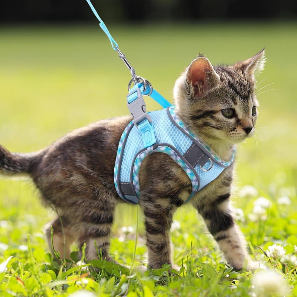 1 Adjustable Pet Harness with Reflector and Leash for Cat and Dog, Soft Comfortable Vest Anti-Escape, XXS, Light Blue - Image 8