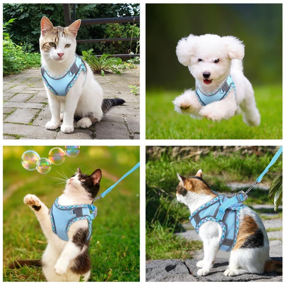 Adjustable Pet Harness for Cat and Dog with Reflector and Leash, Soft Comfortable Vest Design Anti-Escape, Compatible with Small Medium Large Pets, S, Light Blue - Image 7