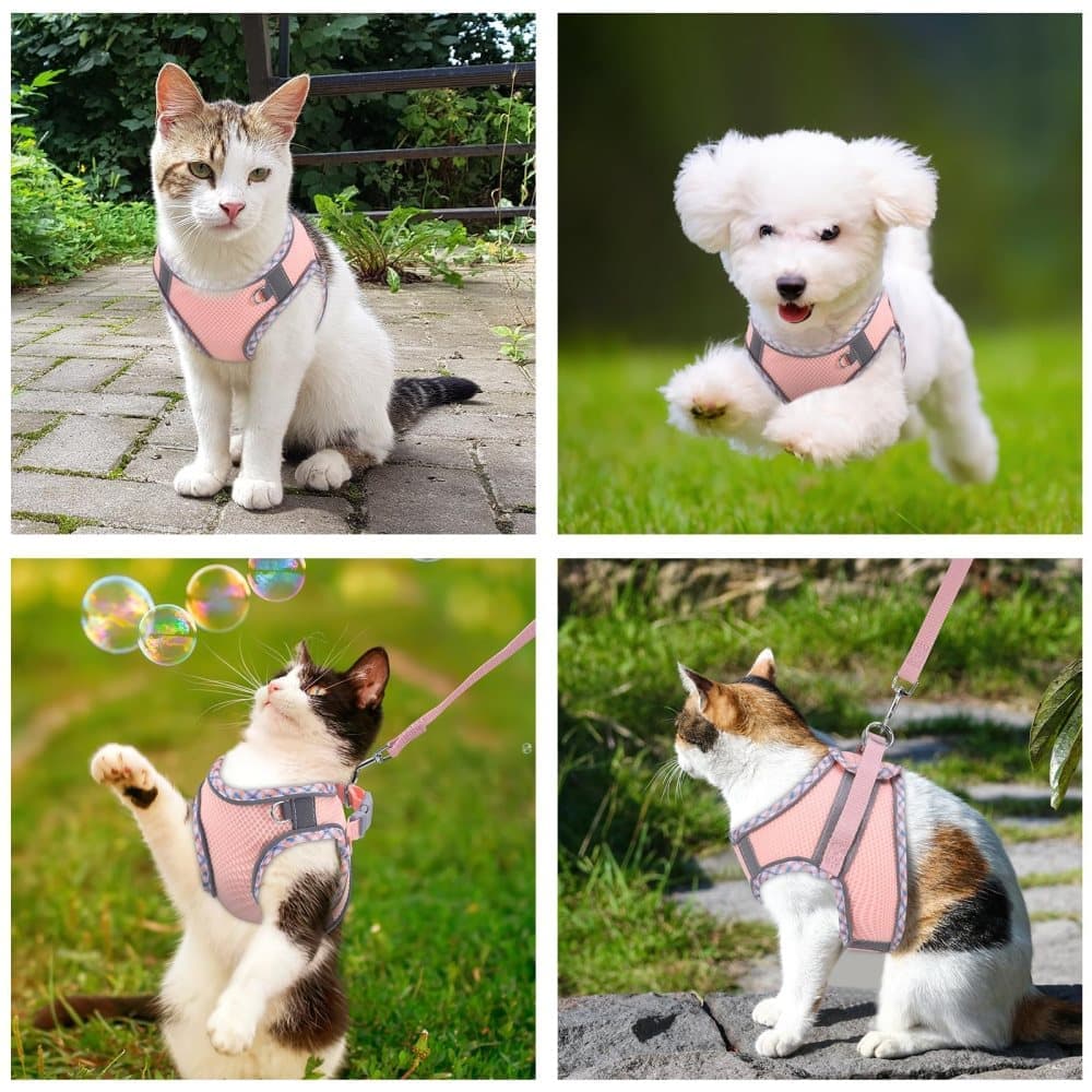 Adjustable Pet Harness with Reflector and Leash for Cat and Dog, Soft Comfortable Vest Design Anti-Escape, M, Pink - Image 7