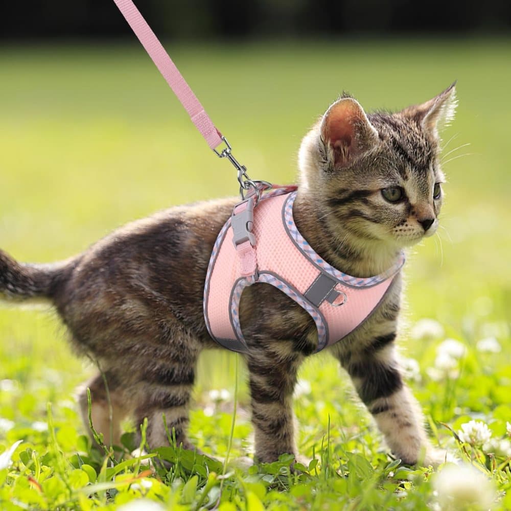 Adjustable Pet Harness with Reflector and Leash for Cat and Dog, Soft Comfortable Vest Design Anti-Escape, M, Pink - Image 8