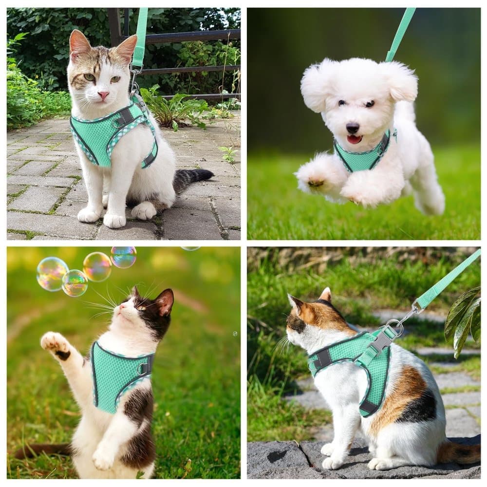 Adjustable Pet Harness with Reflector and Leash for Cat and Dog, Soft Comfortable Vest Design Anti-Escape, M, Green - Image 7