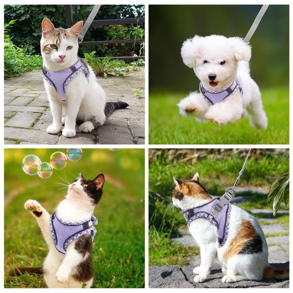 1 Adjustable Pet Harness for Cat and Dog with Reflector and Leash, Soft Comfortable Vest Design Anti-Escape, Compatible with Small Medium Large Pets, L Purple - Image 7