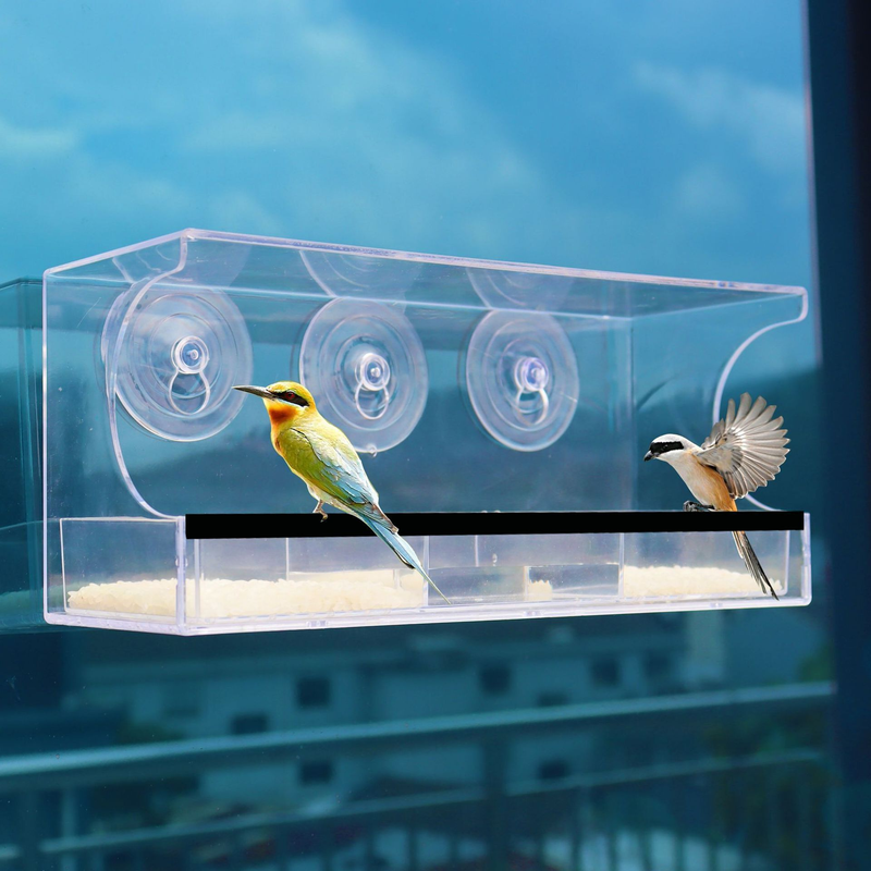 Automatic Transparent Bird Feeder (Acrylic) Size: 300*100*130mm Color: Transparent for Birds Balcony Mount (1pc) - Image 2