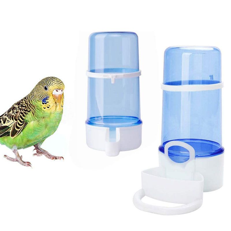 Automatic Water Dispenser (Plastic) 220ML Capacity Size: 130*85mm Color: Green/Transparent for Parrots (1pc) - Image 2