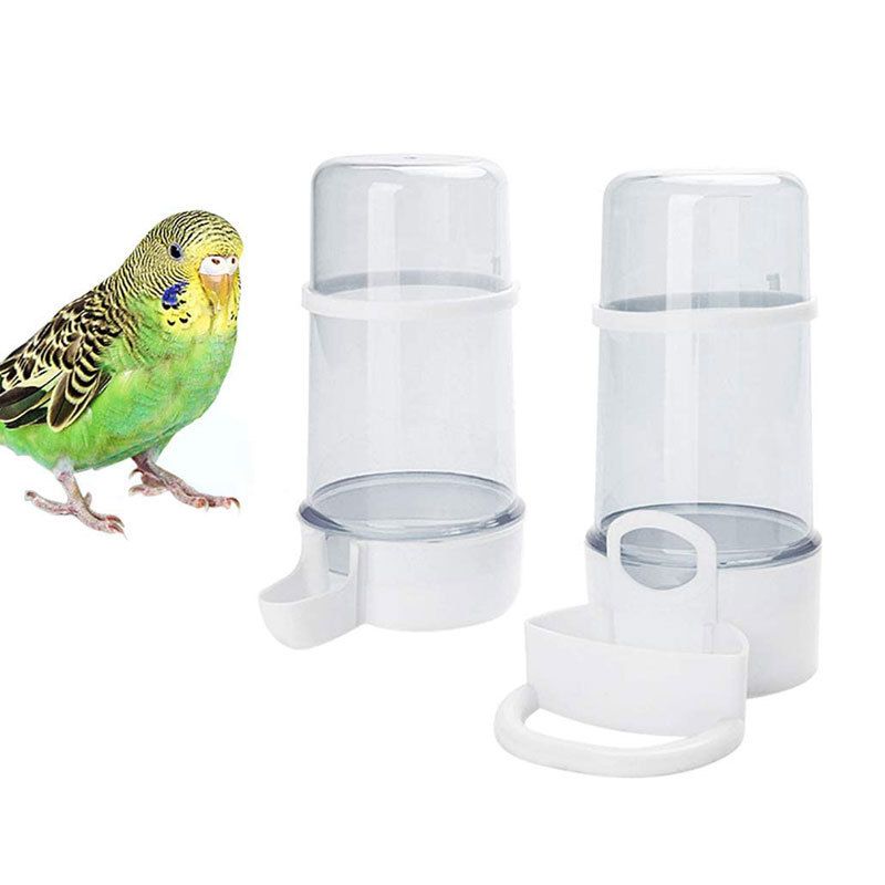 Automatic Water Dispenser (Plastic) 220ML Capacity Size: 130*85mm Color: Green/Transparent for Parrots (1pc) - Image 4