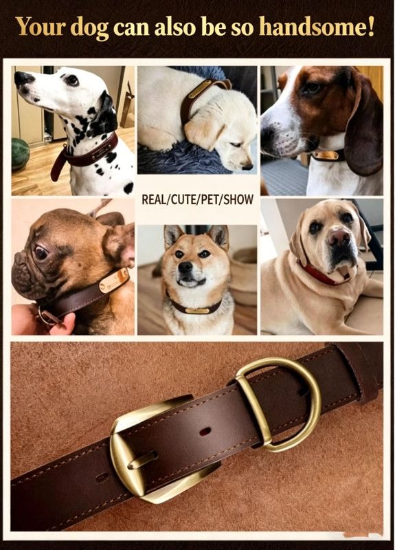Premium Genuine Leather Dog Collar/Durable Real Leather Adjustable Collars For Male Female(S,Black) - Image 4