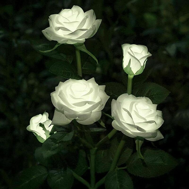 Solar Rose Flower Lights for Outdoor Garden Decor, White - Image 1