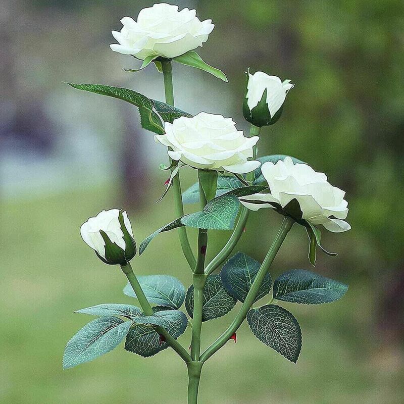 Solar Rose Flower Lights for Outdoor Garden Decor, White - Image 4