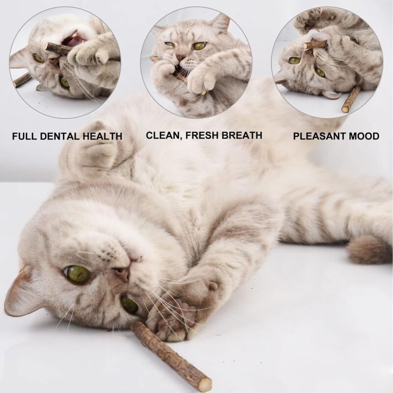 10 Pack Matatabi Sticks for Cats, Natural Dried Catnip Chew Toy - Image 2