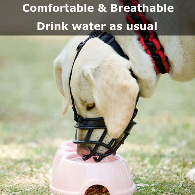 Dog Muzzle with Breathable Mesh and Nylon Headband for Small Medium and Large Dogs, L - Image 2