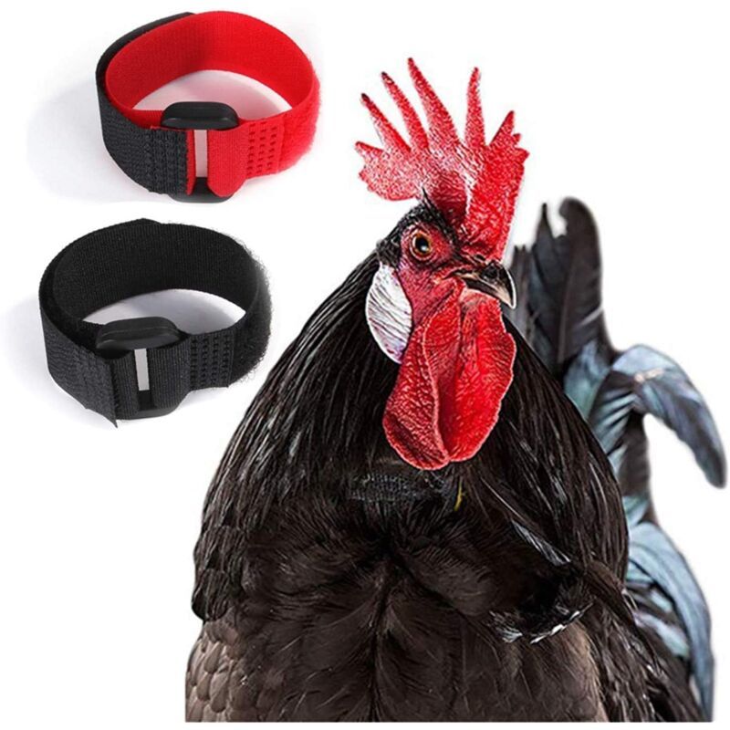 2 Pack Adjustable Chicken Collar, Anti Crow Rooster Collar - Image 1
