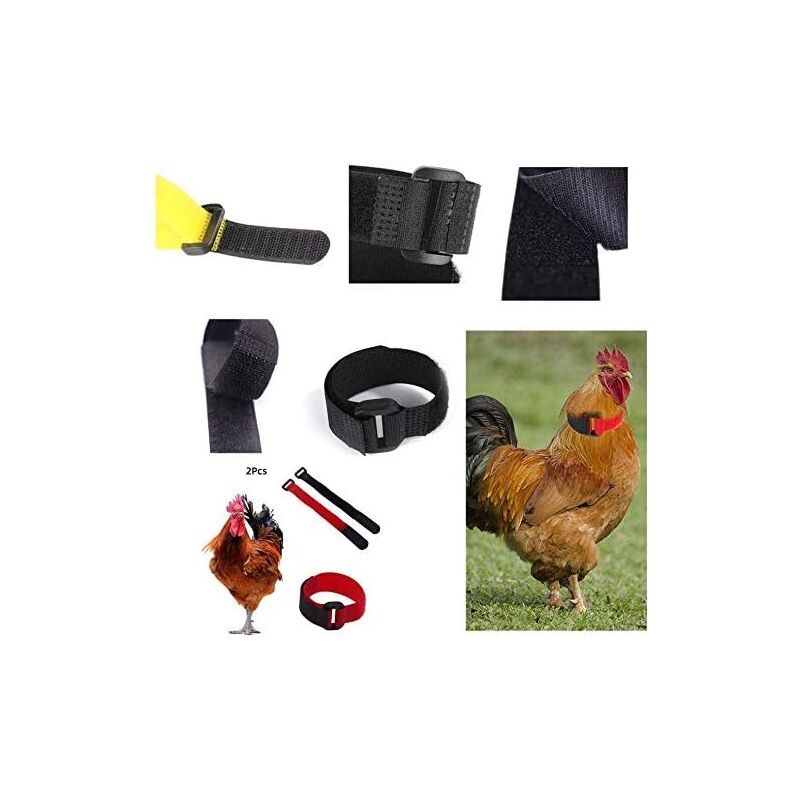 2 Pack Adjustable Chicken Collar, Anti Crow Rooster Collar - Image 3