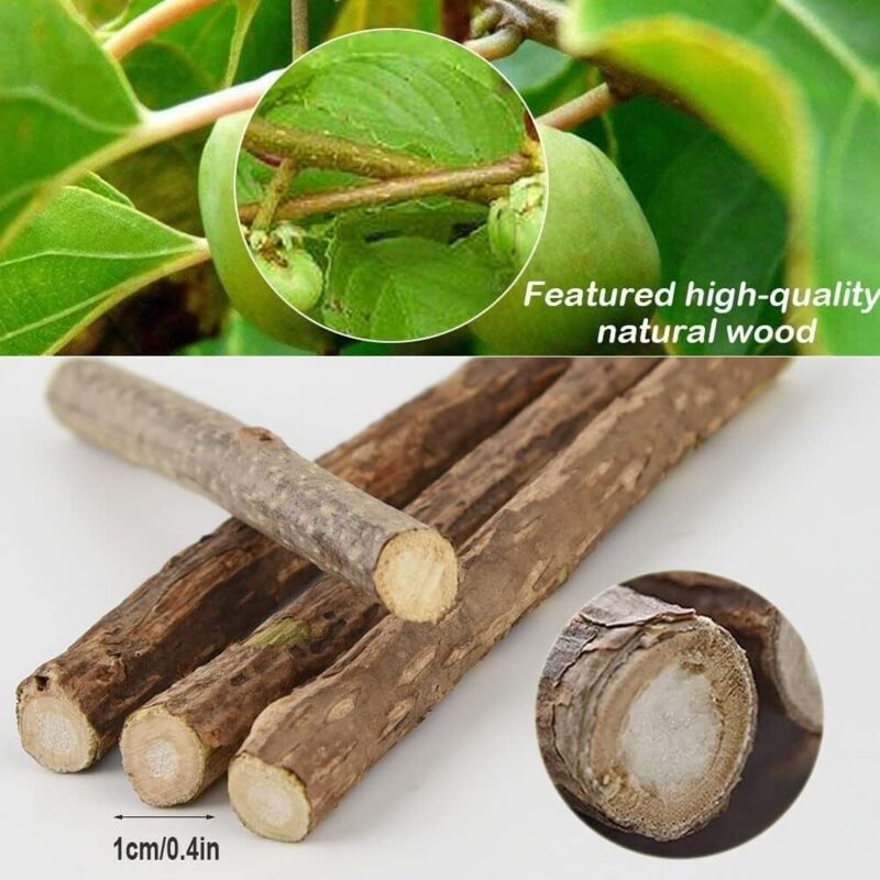 30 Pack Natural Matatabi Catnip Sticks for Dental Treats - Image 2