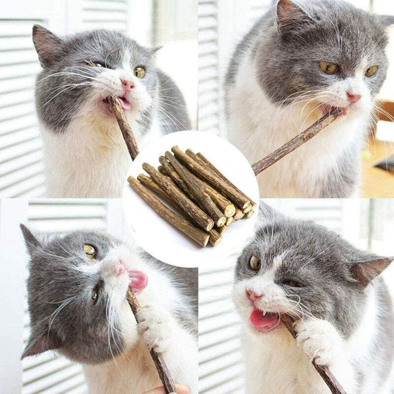 30 Pack Natural Matatabi Catnip Sticks for Dental Treats - Image 4