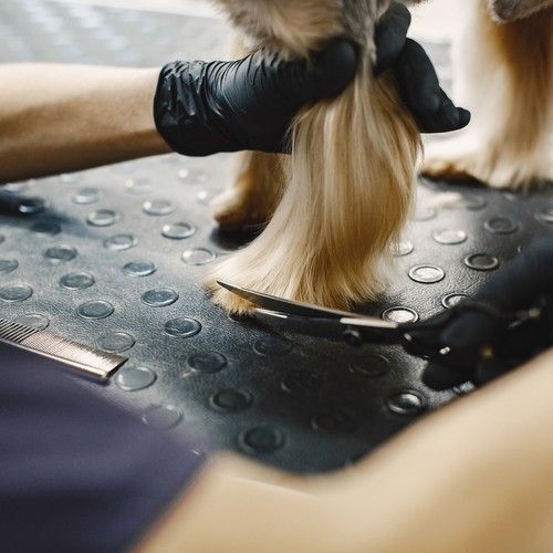 Dog Grooming Scissors Trimmer Kit - Image 8