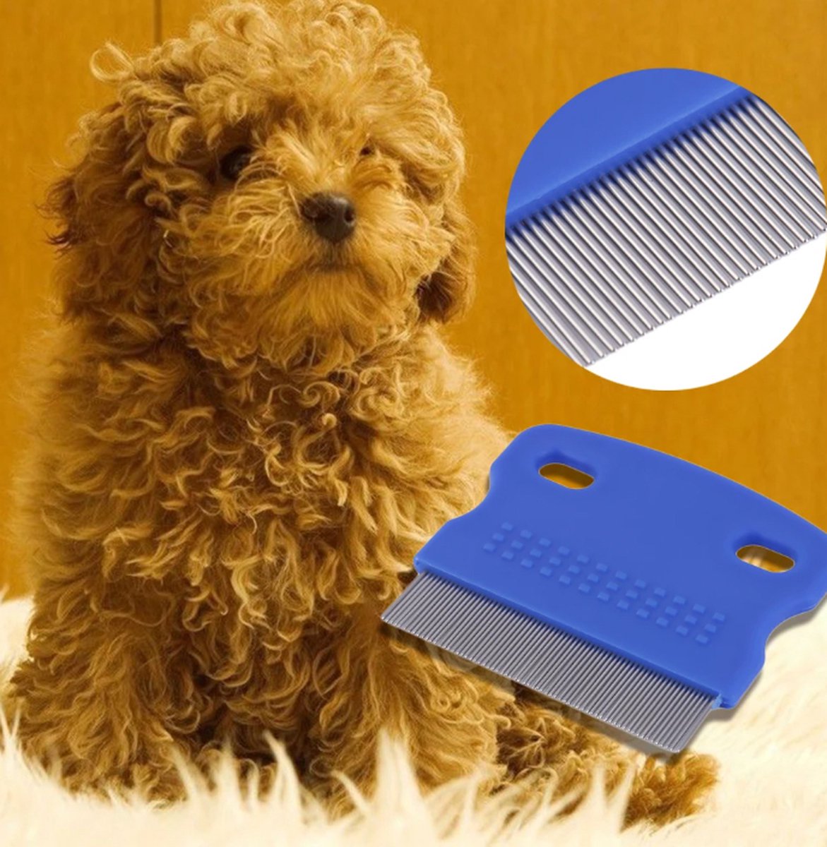 Lice Comb | Lice Brush | Flea Comb | Nits Comb | Lice Remover | Stainless Steel Brushes | Plastic Barrel | Fine | Random Color - Image 4