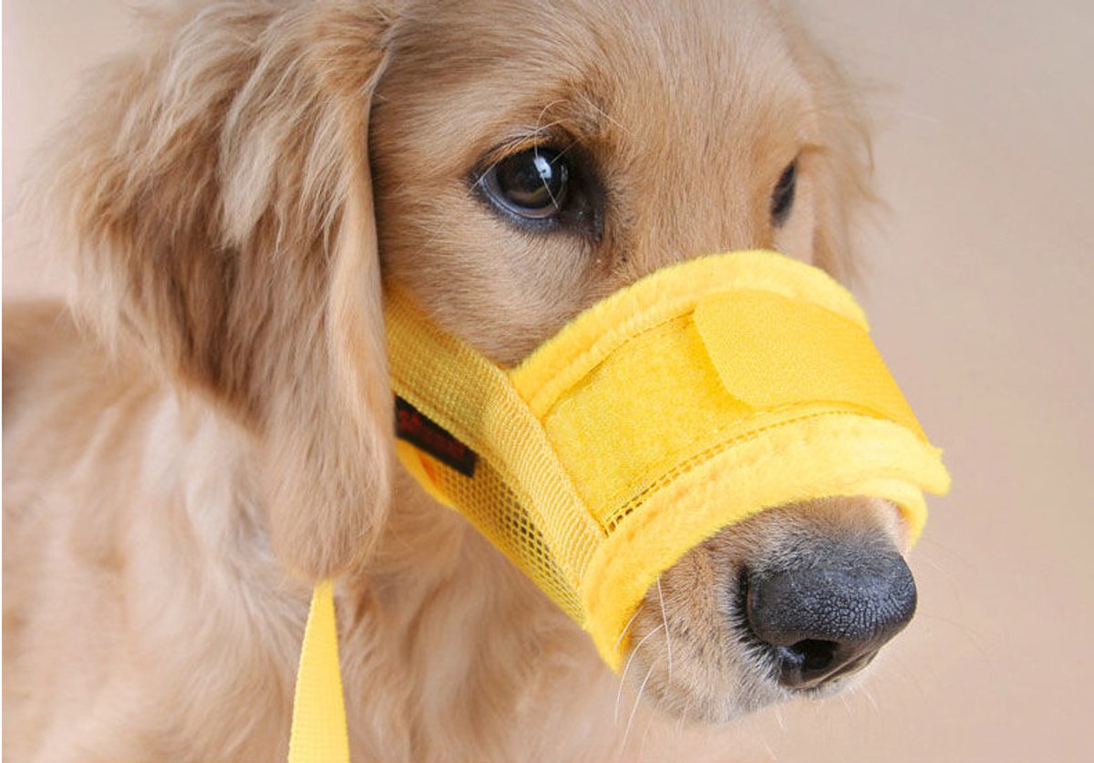 Muzzle for dogs - Soft, breathable - Small dogs, size XL yellow - Image 2