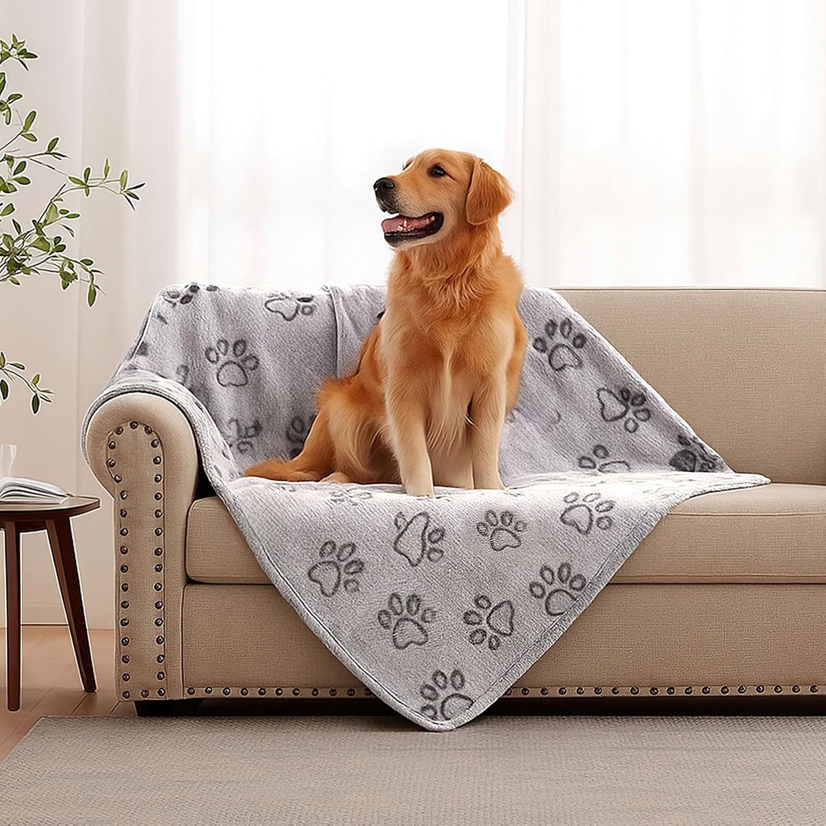 100x160cm Dog blankets for medium-sized dogs, cats, Premium soft dog blankets for small dogs, washable, Puppy blanket, Dog supplies for puppies (grey) - Image 3