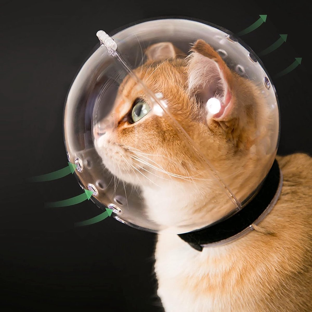 Cat muzzle - With breathable hood - Adjustable astronaut helmet for kittens - Prevents your pet from gnawing at and licking its fur - Spherical face mask - Suitable for aggressive cats (L) - Image 1