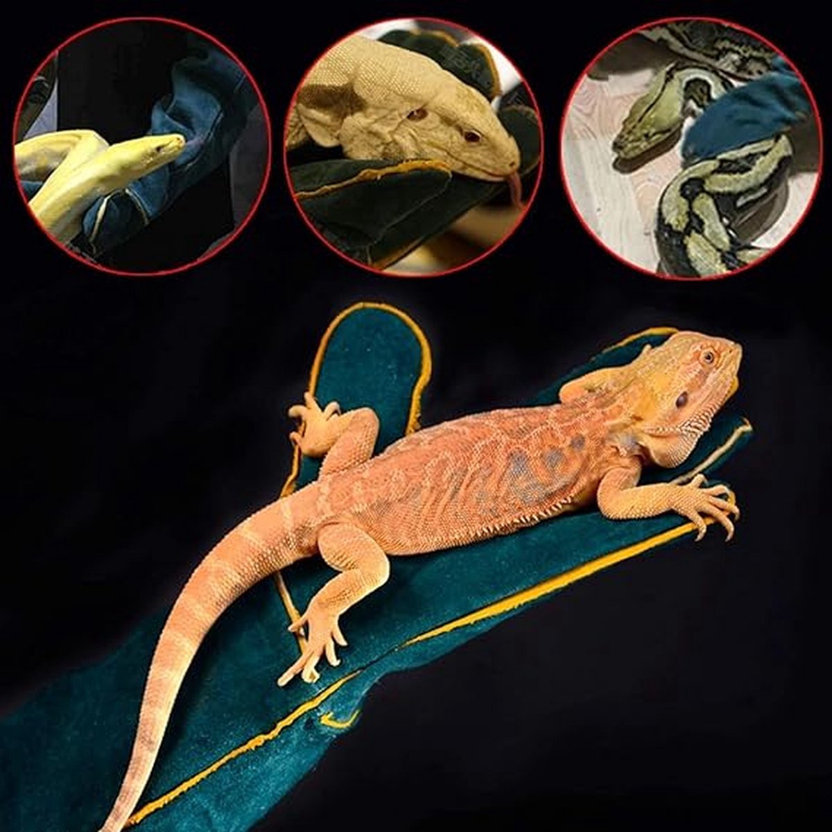 Pet Protection Gloves - Anti-bite - Abrasion-resistant - Insulated - Anti-scratch - Thickened - Anti-slip - Supple Leather - Pet Glove - 60cm - Heavy Duty Glove - Work Glove - Five-finger Gloves - Welding Gloves - Image 3